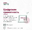 Госуслуги без стресса: разбираемся вместе